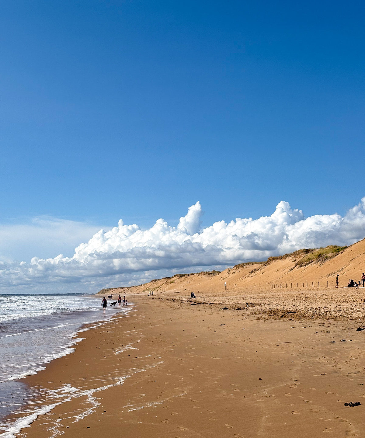 Plage de sable avec dunes et ciel bleu ensoleillé.