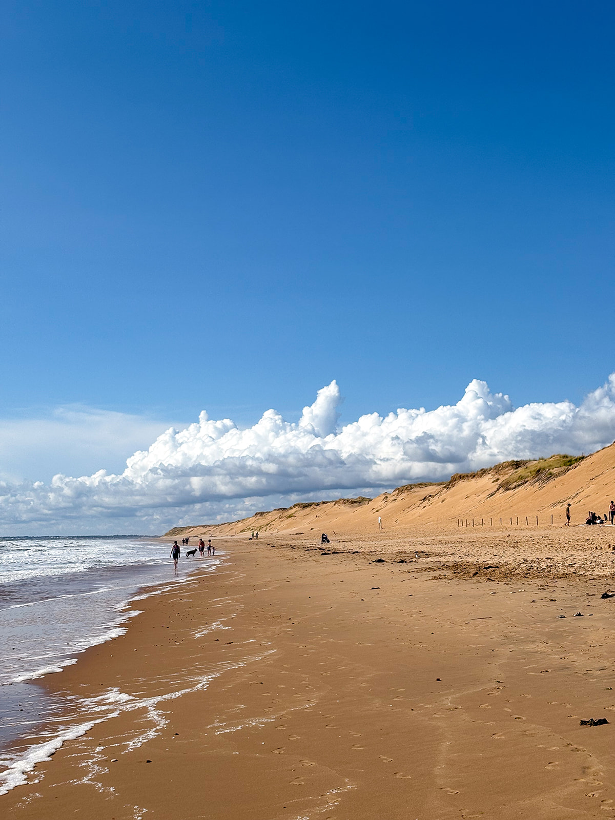 Plage de sable avec dunes et ciel bleu ensoleillé.